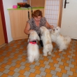11/2012 - n�v�t�va u Amy v Domovince