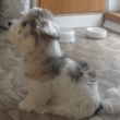 Na n�v�t�v� u Bonity alias Bellet v T�n� n/Vlt.