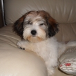 Anita - 4 m�s�ce