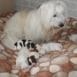 �t���tka s maminkou