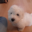 N�v�t�va u Benita v Litom��ic�ch